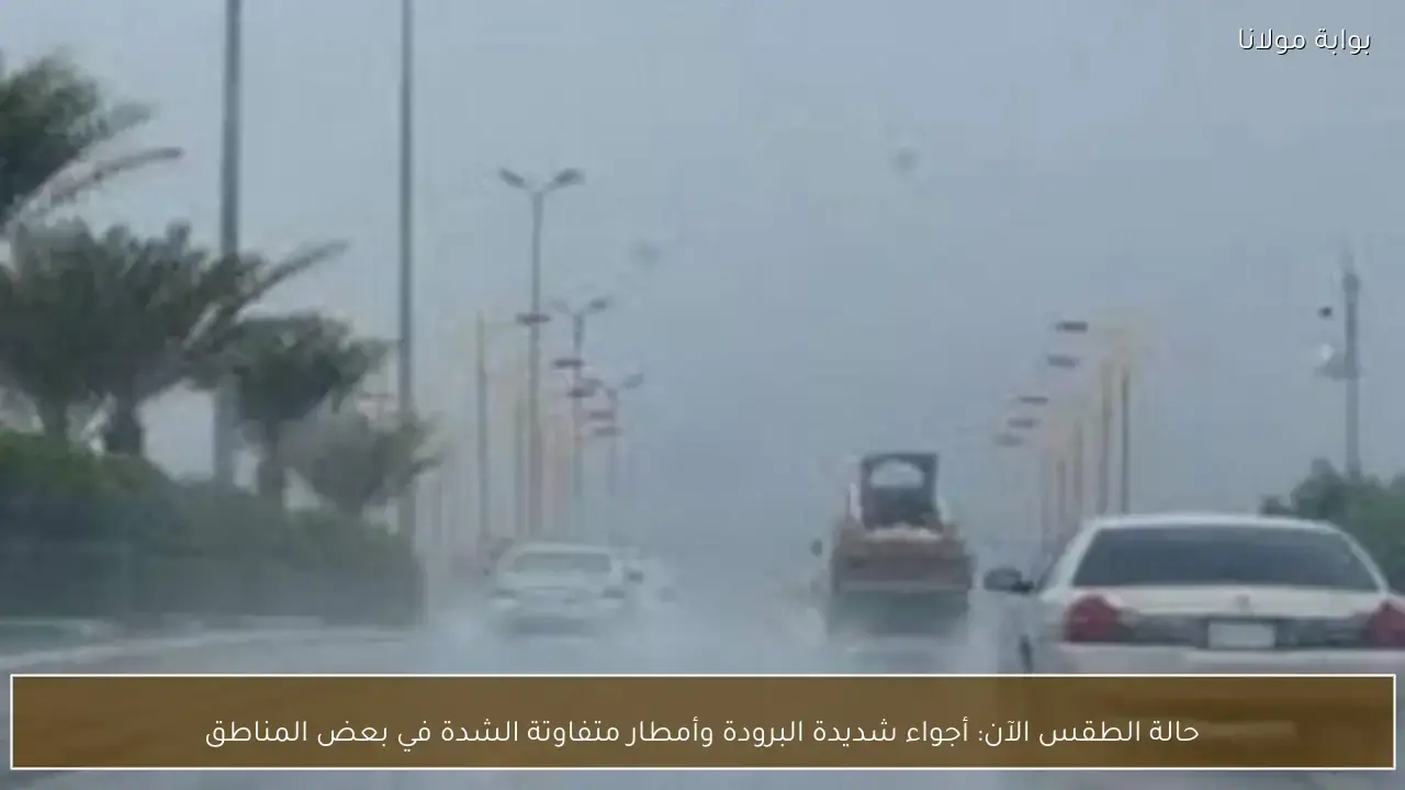 طقس متقلب يضرب عدة مناطق بموجة برد شديدة وهطول أمطار متفاوتة الشدة